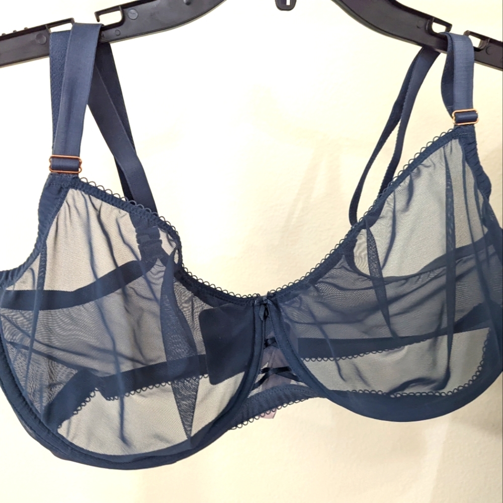 Victoria's Secret Sheer Mesh Dream Angels Bra - 38DDD
